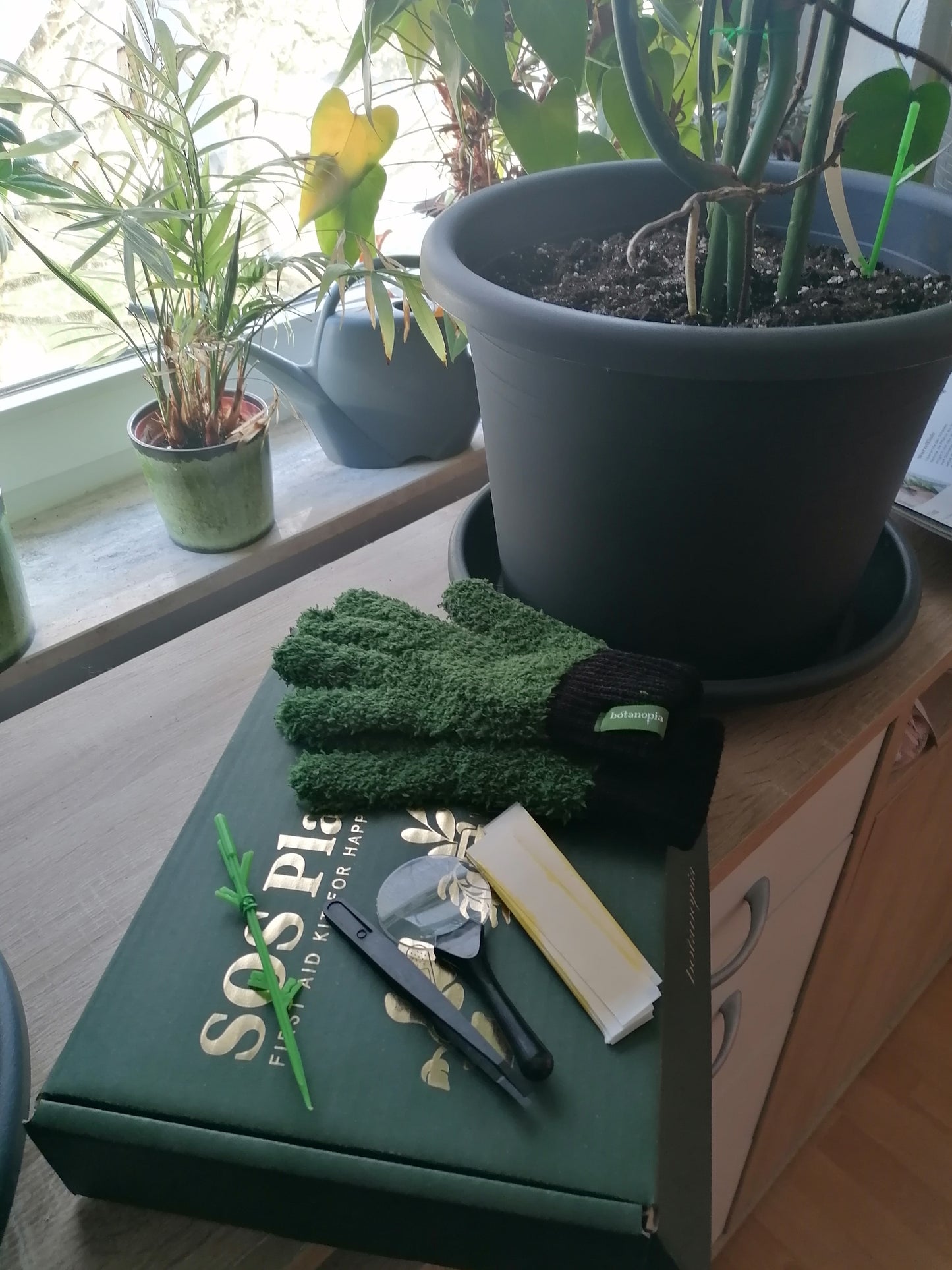 SOS Plant Kit – Komplettset für Pflanzenpflege und Pflanzenschutz mit Neemöl 🚑