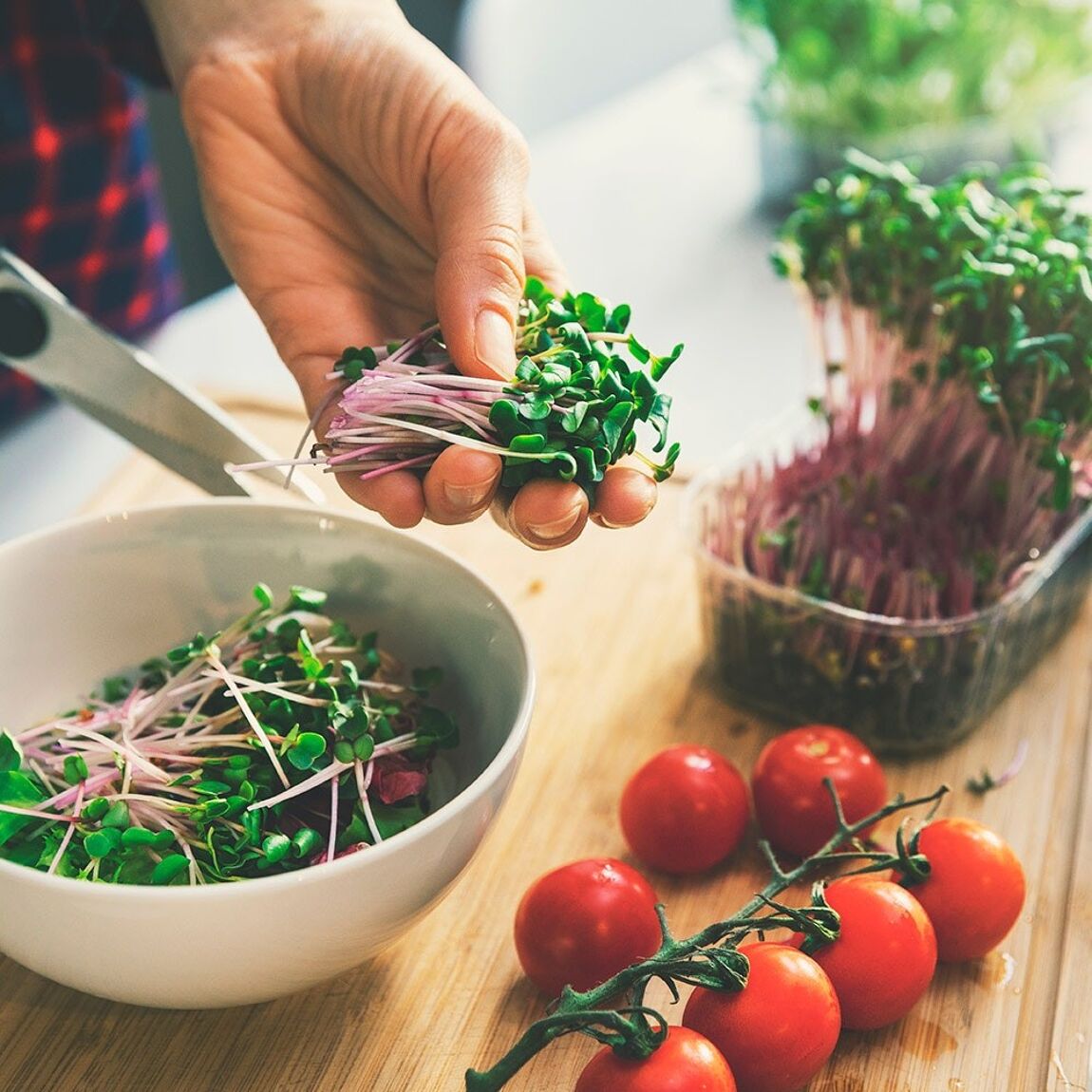 Microgreens – Dein Weg zu mehr Gesundheit