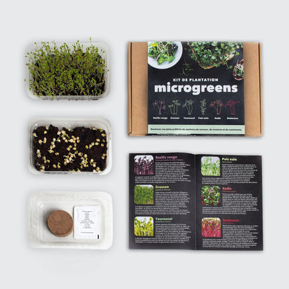 Microgreens – Dein Weg zu mehr Gesundheit