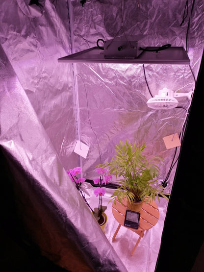 Growkit komplett für 3 Pflanzen - Plant Plus 150 W