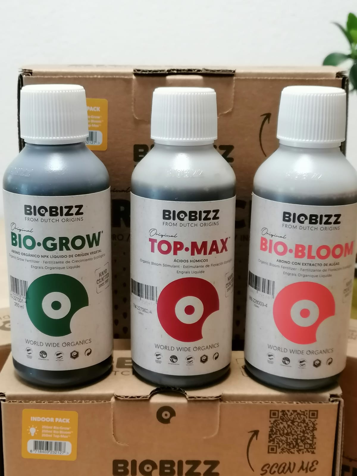 BioBizz Try.Pack Indoor Organischer Bio Dünger