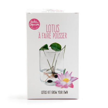 Lotus - Growing Box 