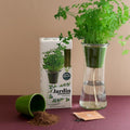 Autonomous herb garden - Organic Italian parsley 